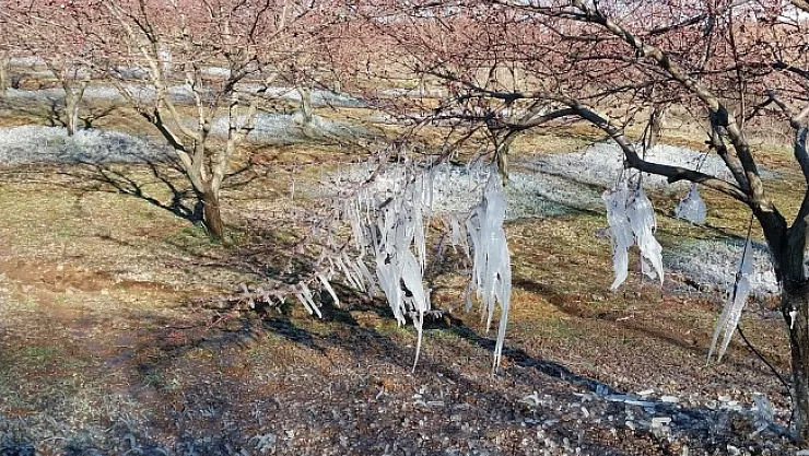 Dernek Başkanı
